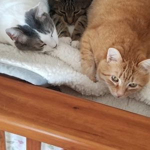 Meet your Posher, Doreen